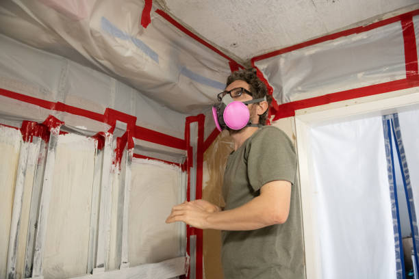 Best Post-Construction Mold Inspection  in South Huntington, NY