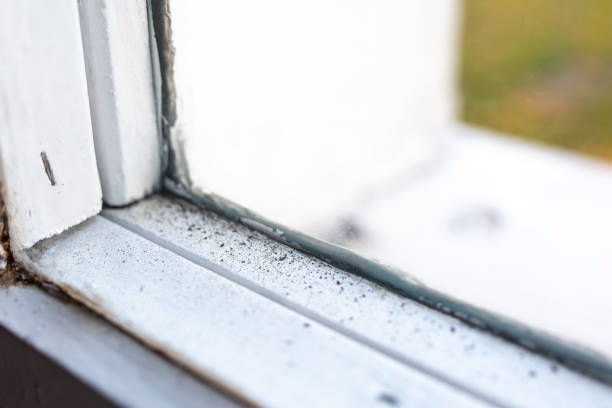 Best Indoor Air Quality Assessment  in South Huntington, NY