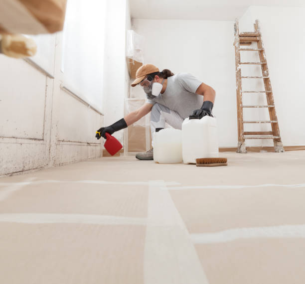 Best Water Damage & Mold Remediation  in South Huntington, NY